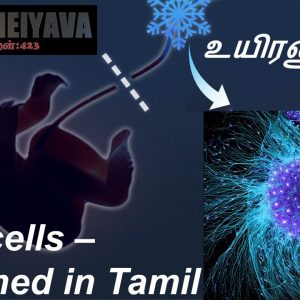 Stem cells explained in Tamil | Regenerative medicine | Induced pluripotent stem cell | Meiyava423 |