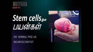 Stem cells Applications in Tamil | Regenerative medicine | Organoids | Meiyava423 | Part 2
